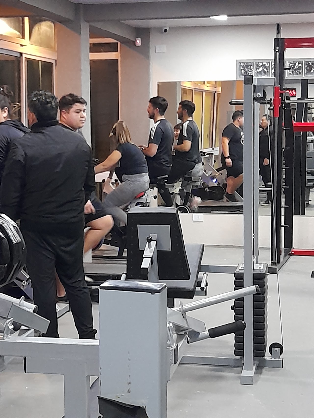 Rack completo de mancuernas en La Roca Gym
